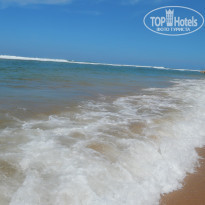 фото из отзыва ID 1310463