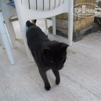 фото из отзыва ID 1310541