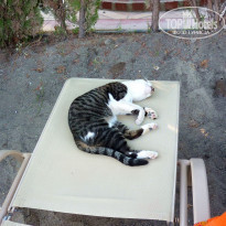 фото из отзыва ID 1310647