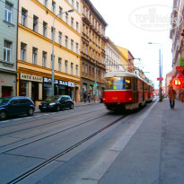 фото из отзыва ID 1310498