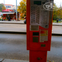 фото из отзыва ID 1310498