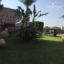 фото из отзыва ID 1310933