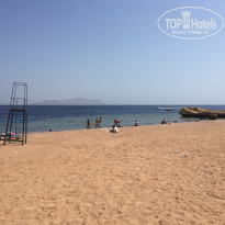 фото из отзыва ID 1310933