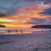 фото из отзыва ID 1311105