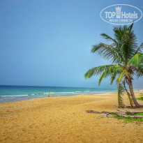 фото из отзыва ID 1311105