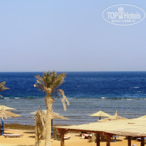 фото из отзыва ID 1311110