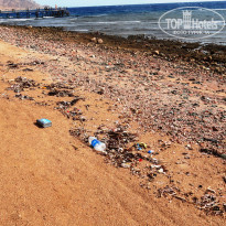 фото из отзыва ID 1311110