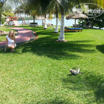 фото из отзыва ID 1311132