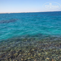 фото из отзыва ID 1311240