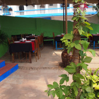 фото из отзыва ID 1311418