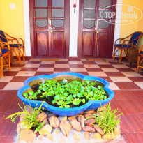 фото из отзыва ID 1311434