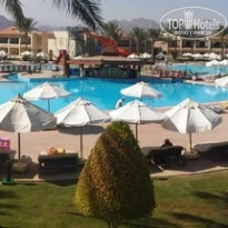 фото из отзыва ID 1311454