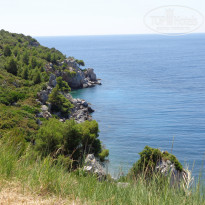 фото из отзыва ID 1311466