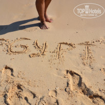 фото из отзыва ID 1311472