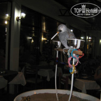 фото из отзыва ID 1311509