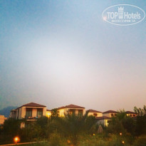 фото из отзыва ID 1311518