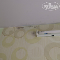 фото из отзыва ID 1311507