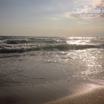 фото из отзыва ID 1311603