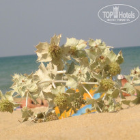 фото из отзыва ID 1311603