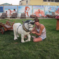 фото из отзыва ID 1311603