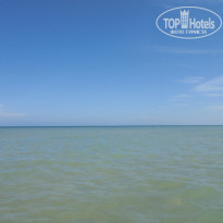 фото из отзыва ID 1311668