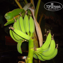 фото из отзыва ID 1311689