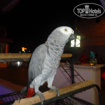 фото из отзыва ID 1311689