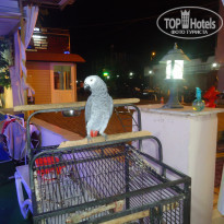 фото из отзыва ID 1311689