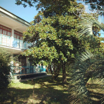 фото из отзыва ID 1311693