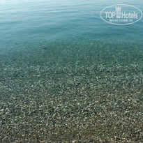 фото из отзыва ID 1311693