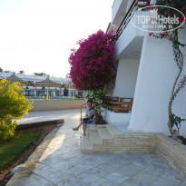 фото из отзыва ID 1311849