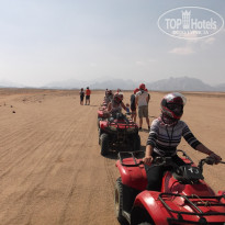 фото из отзыва ID 1311931