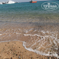 фото из отзыва ID 1311931