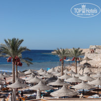 фото из отзыва ID 1311995