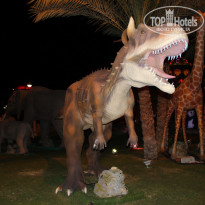 фото из отзыва ID 1312006