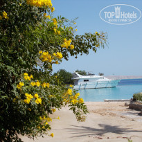 фото из отзыва ID 1312229