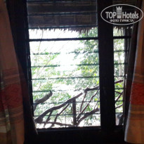 фото из отзыва ID 1311932