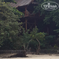 фото из отзыва ID 1311932