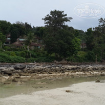 фото из отзыва ID 1311932