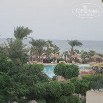 фото из отзыва ID 1312358