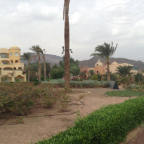 фото из отзыва ID 1312353