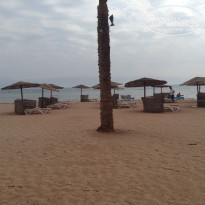 фото из отзыва ID 1312353