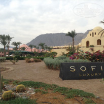 фото из отзыва ID 1312353