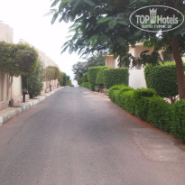 фото из отзыва ID 1312469