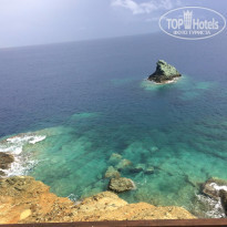 фото из отзыва ID 1312480