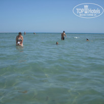 фото из отзыва ID 1312591