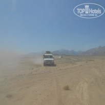 фото из отзыва ID 1312610