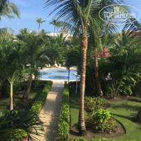 фото из отзыва ID 1312617