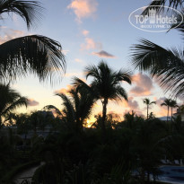 фото из отзыва ID 1312617