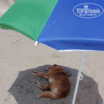 фото из отзыва ID 1312688